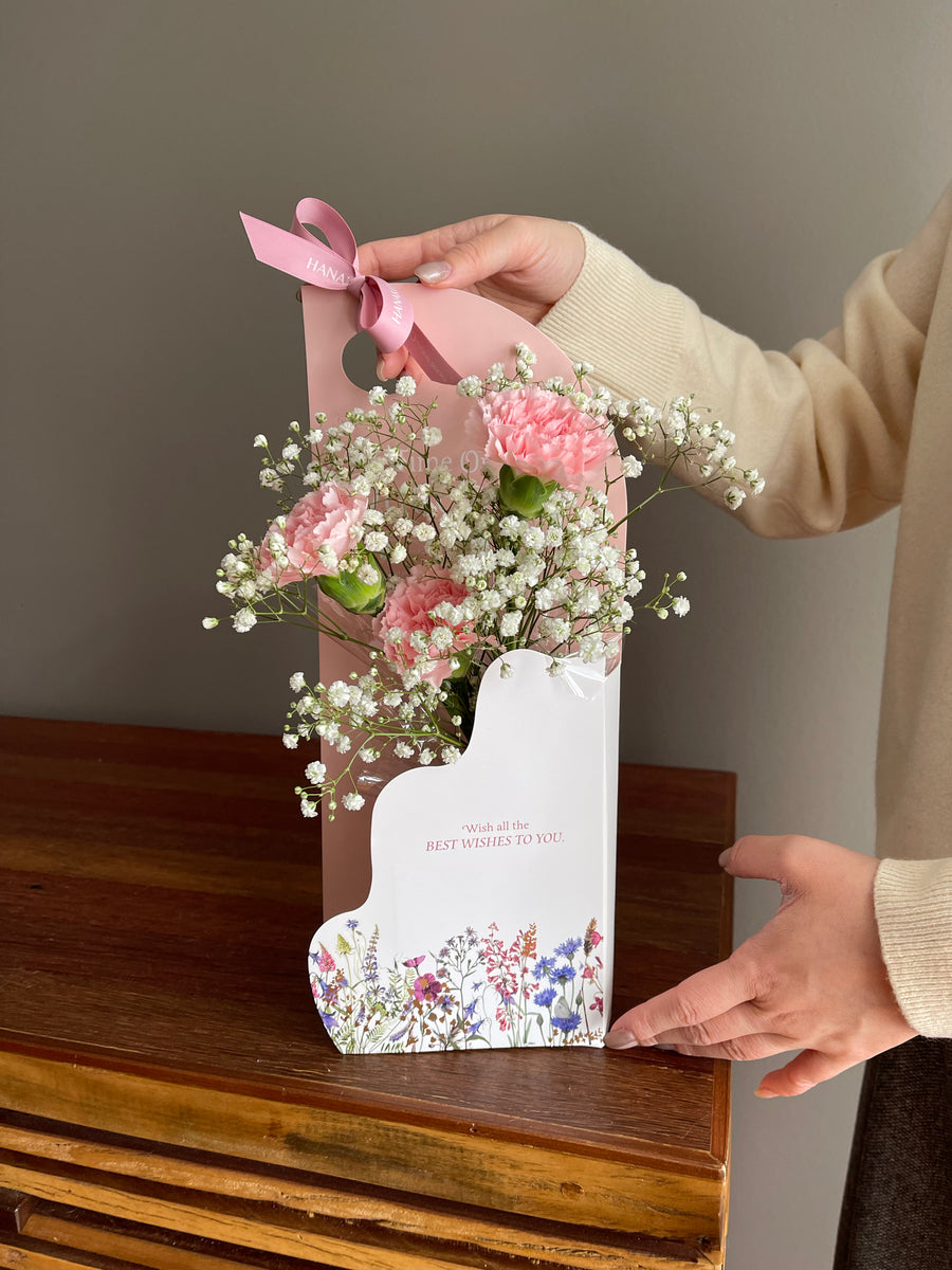 Mother's Day Mini Pink Carnation Box