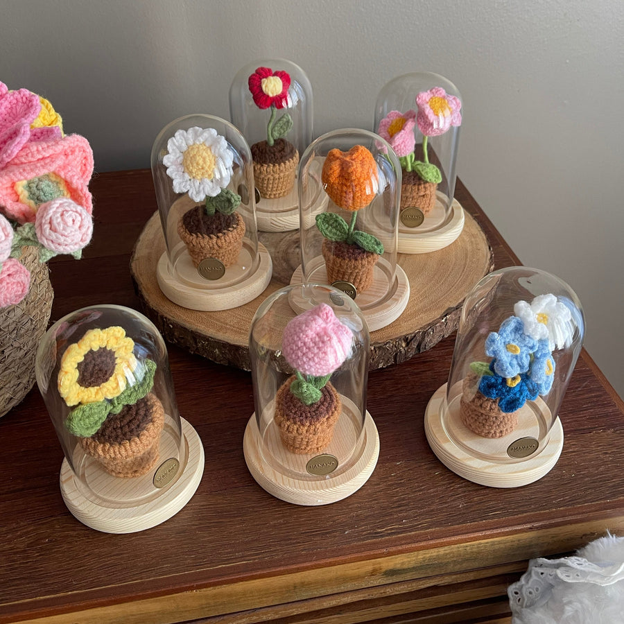 Mini Crochet Plant with Cloche