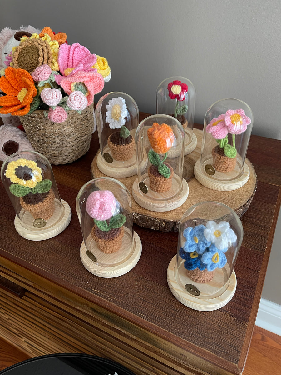 Mini Crochet Plant with Cloche