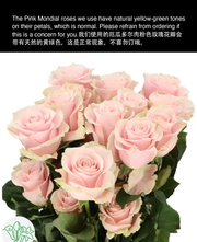 Classic Baby Pink Blue Rose Round Bouquet(Pre-order)