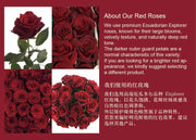 Classic Rose Bloom Box - Red