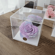 A True Heart Preserved Singer Rose Box
