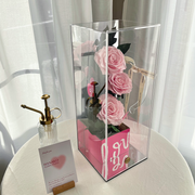 Cosmic Romance Preserved Rose Box-Pink