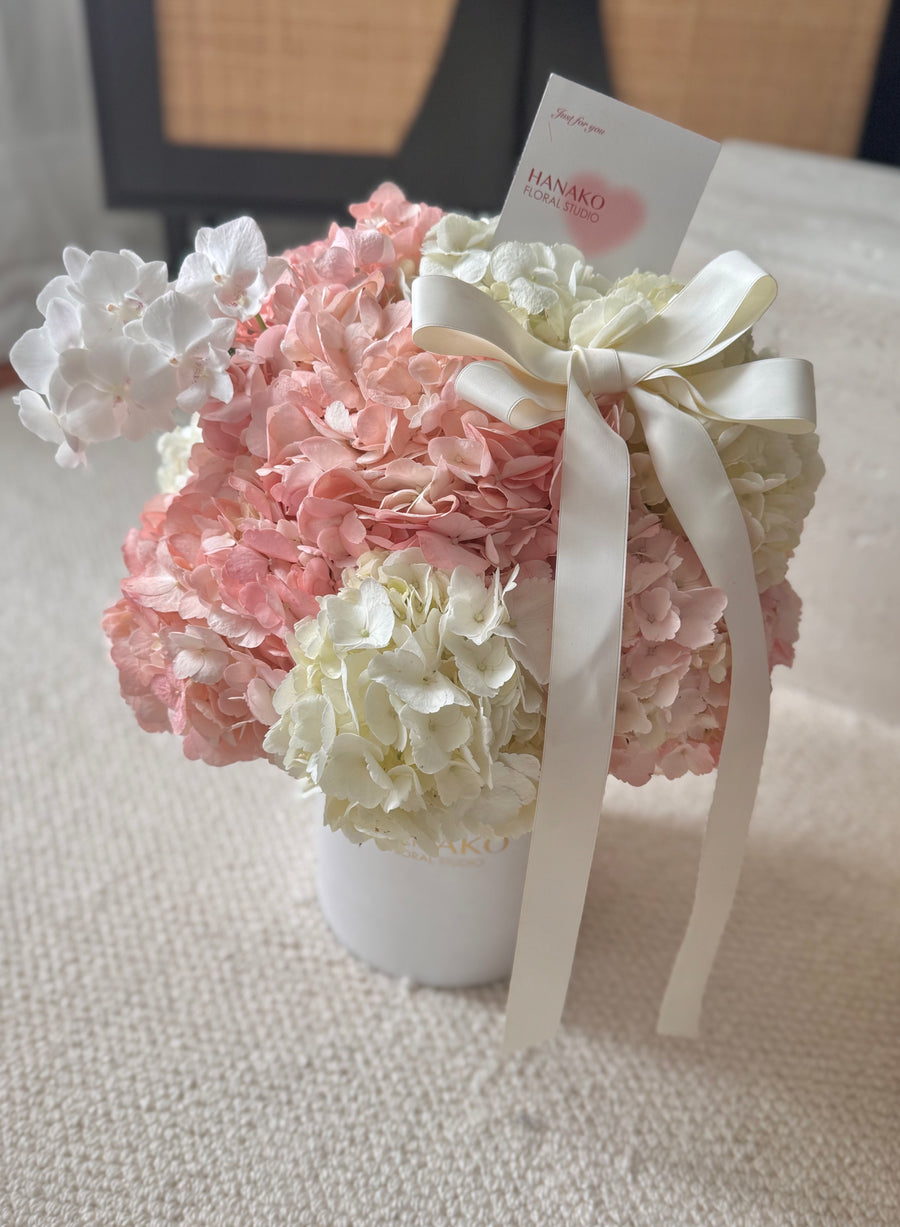 Cloud Blush Hydrangea Hug Bucket(Pre-order, 7 Days in Advance)