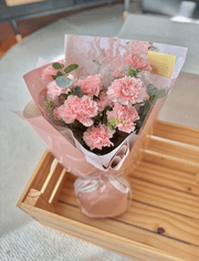 Mother's Day Color Études Carnation Bouquet- Soft Pink