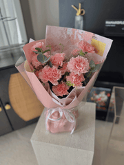 Mother's Day Color Études Carnation Bouquet- Soft Pink