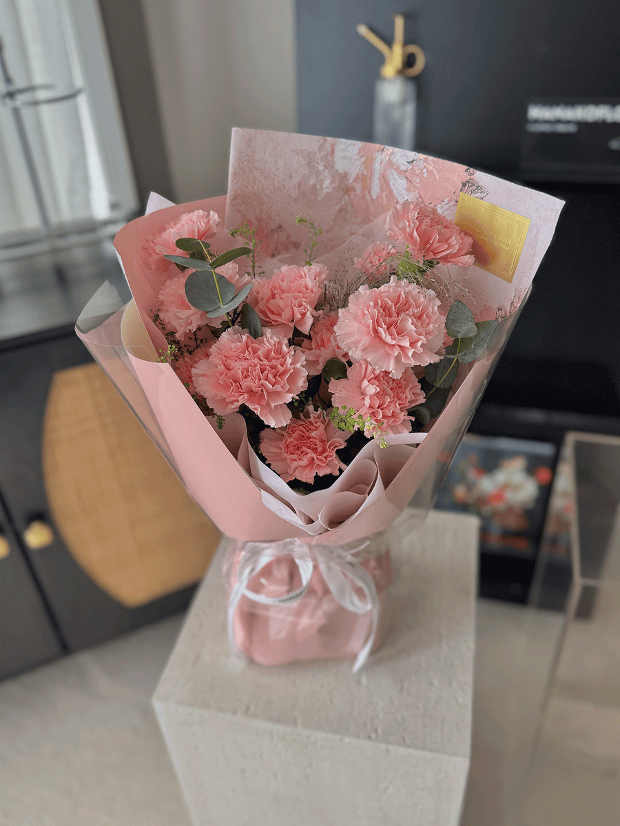 Mother's Day Color Études Carnation Bouquet- Soft Pink