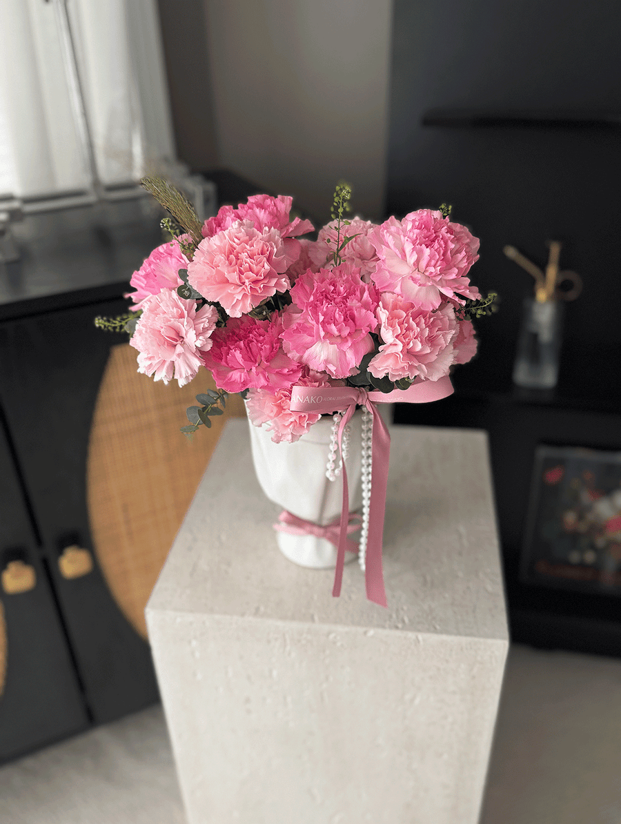 Mother's Day Tender Bloom Carnation Pot