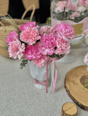 Mother's Day Tender Bloom Carnation Pot