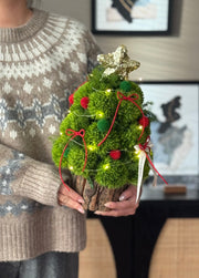 Person holding a small moss Christmas tree with lights and decorations indoors.